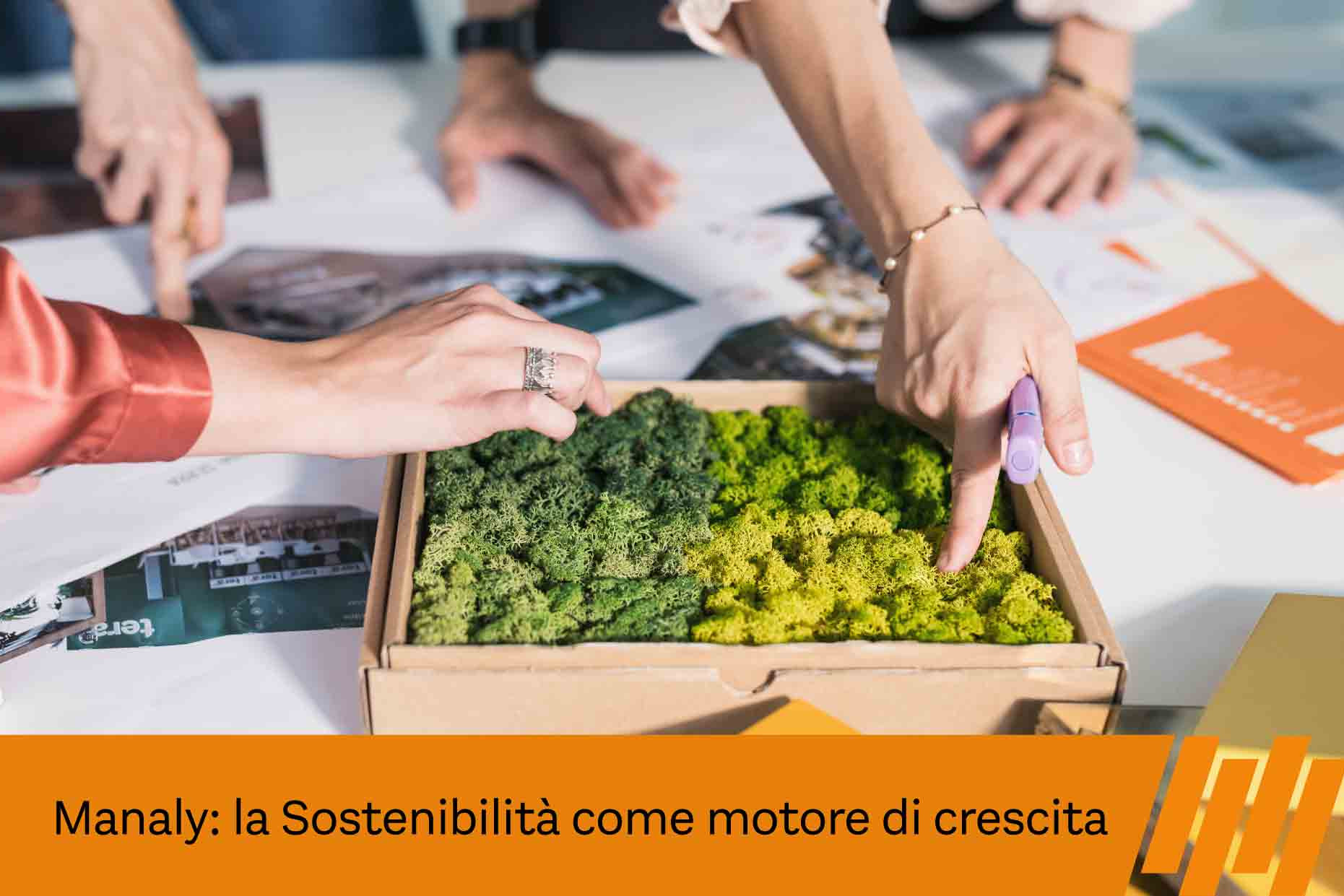 sostenibilità manaly 