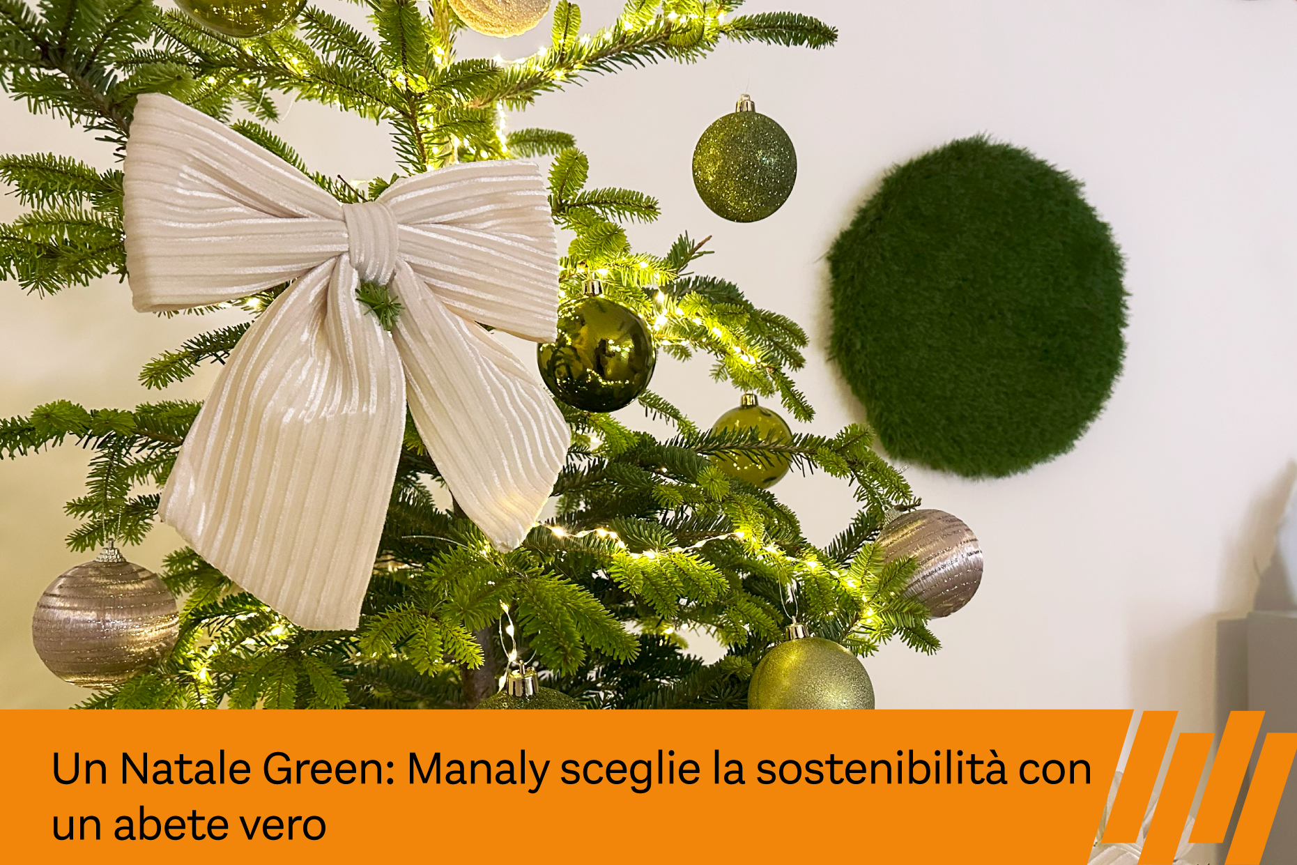 abete vero natale green manaly 