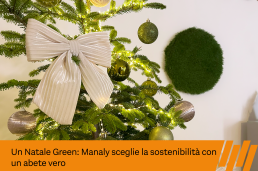 abete vero natale green manaly