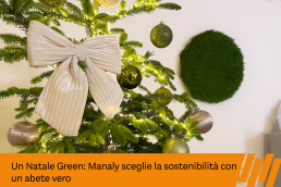 abete vero natale green manaly