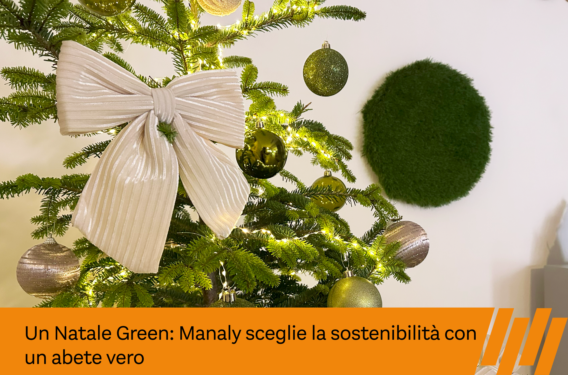 abete vero natale green manaly 