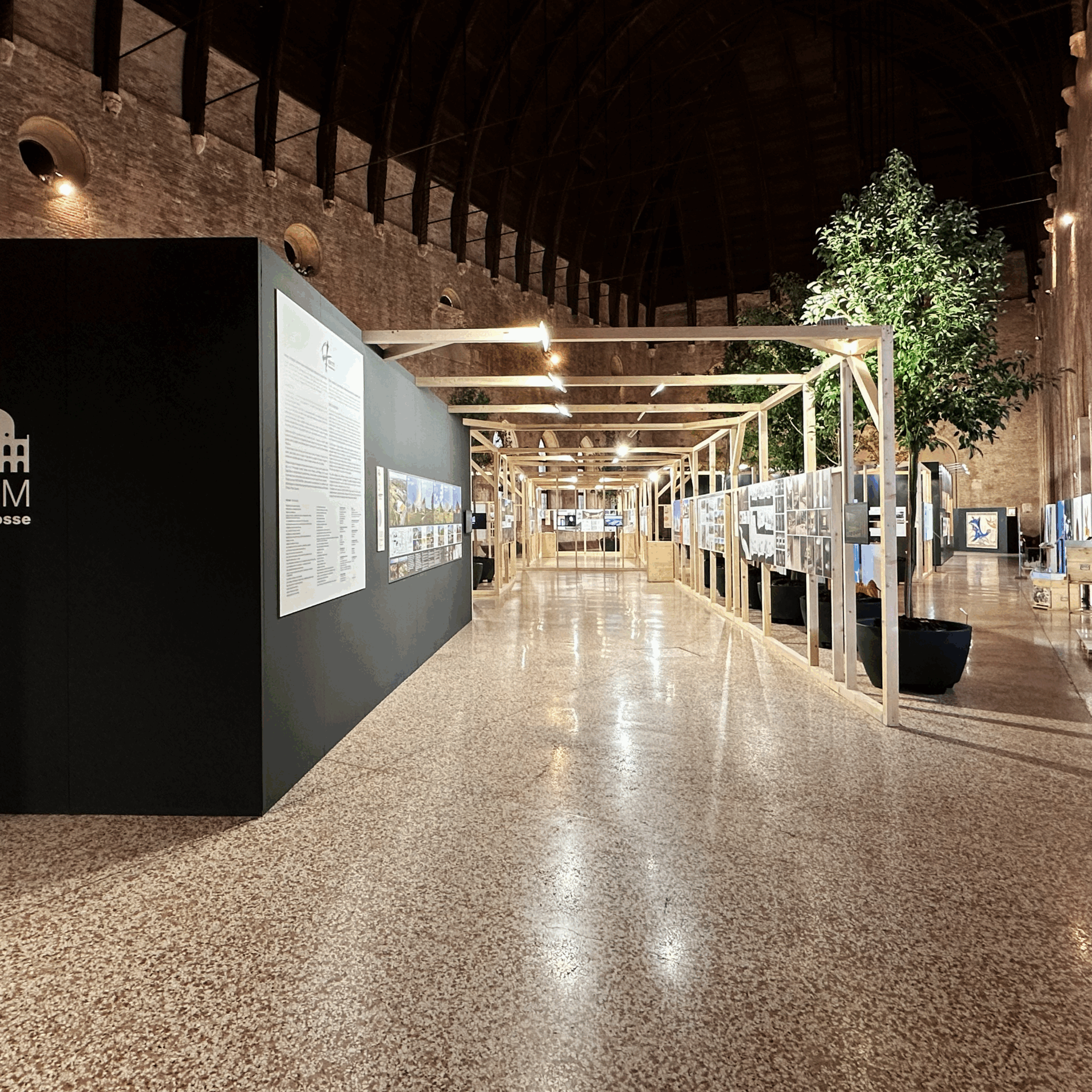 dedalo minosse_basilica palladiana_2025_manaly