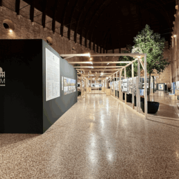 dedalo minosse_basilica palladiana_2025_manaly